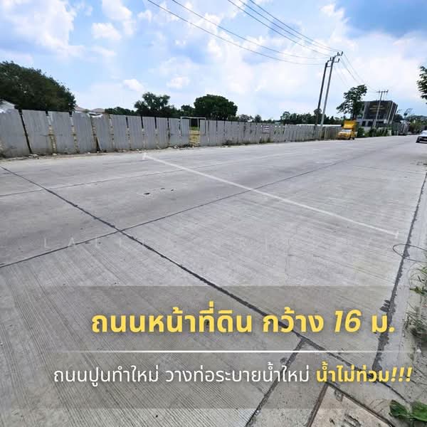 ที่ดิน พัฒนาการ 32, กรุงเทพ, สวนหลวง, กรุงเทพ, 376 ตร.ม., ที่ดิน ขาย, โดย Lalita Sriploy, 500483151 - DDproperty.com