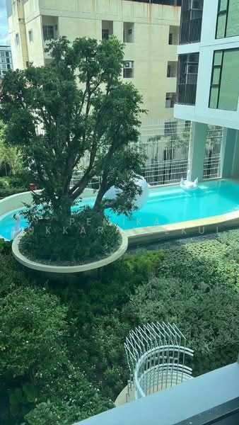 Ivory Ratchada-Ladprao, Bangkok, Soi Ratchadaphisek 32 Ratchadaphisek Road, Chan Kasem, Chatuchak, Bangkok, 1 Bedroom, 35 sqm, Condo For Sale, by Pemika Aukkaraleekul, 500483244 - DDproperty.com