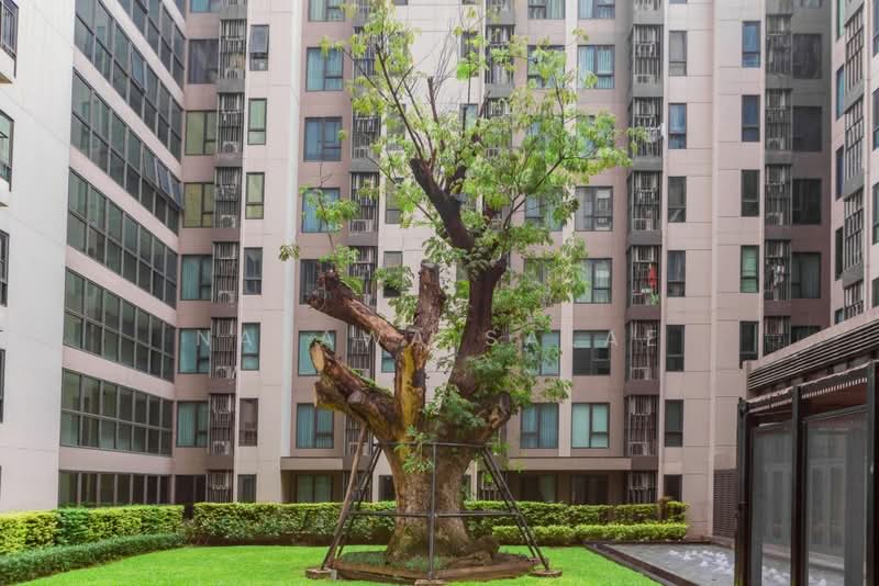 CENTRIC Ari Station, Bangkok, 27 Phahonyothin Road, Samsen Nai, Phaya Thai, Bangkok, 1 Bedroom, 28 sqm, Condo For Rent, by Najawa Salae, 500483500 - DDproperty.com
