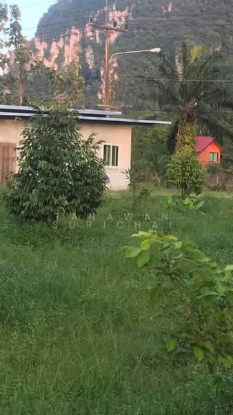 1-BR House, Surat Thani, Tha Chana, Surat Thani, 1 Bedroom, 83 sqm, Single Detached House For Sale, by Tanawan Surichai, 500483503 - DDproperty.com
