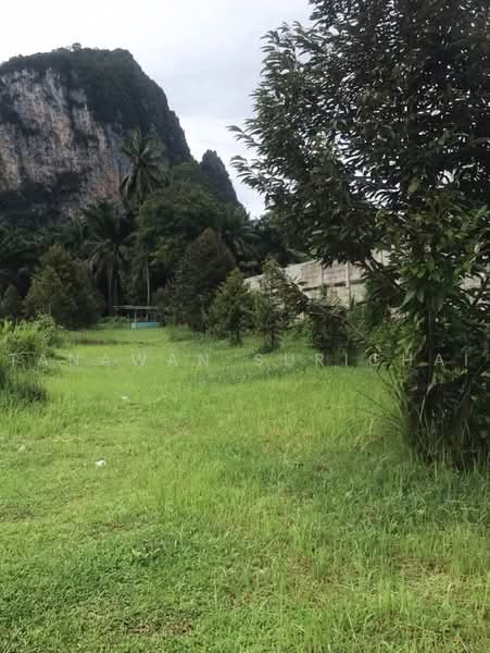 1-BR House, Surat Thani, Tha Chana, Surat Thani, 1 Bedroom, 83 sqm, Single Detached House For Sale, by Tanawan Surichai, 500483503 - DDproperty.com