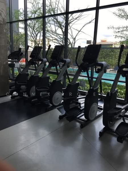 IDEO Sukhumvit 93, Bangkok, 2331 Soi Sukhumvit 93, Bang Chak, Phra Khanong, Bangkok, 1 Bedroom, 34 sqm, Condo For Rent, by Connex Property, 500483732 - DDproperty.com