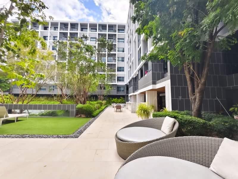 Dusit D2 Residences Hua Hin : ดุสิตดีทู เรสซิเดนเซส หัวหิน, ประจวบคีรีขันธ์, ถนนเพชรเกษม, หนองแก, หัวหิน, ประจวบคีรีขันธ์, 30 ตร.ม., คอนโด ขาย, โดย HOMEPLUS REALTY - คุณเม, 500483945 - DDproperty.com
