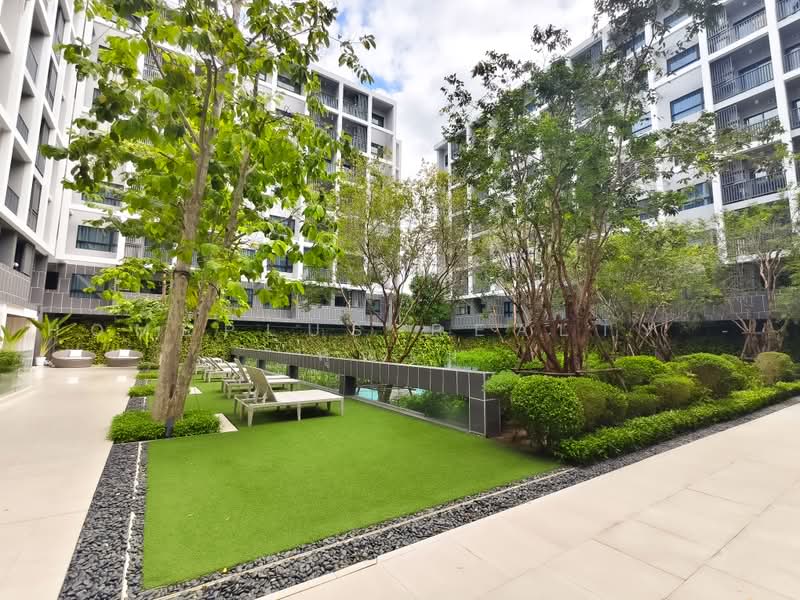 Dusit D2 Residences Hua Hin, Prachuap Khiri Khan, Petchkasem Road, Nong Kae, Hua Hin, Prachuap Khiri Khan, 1 Bedroom, 30 sqm, Condo For Sale, by HOMEPLUS REALTY - คุณเม, 500483945 - DDproperty.com