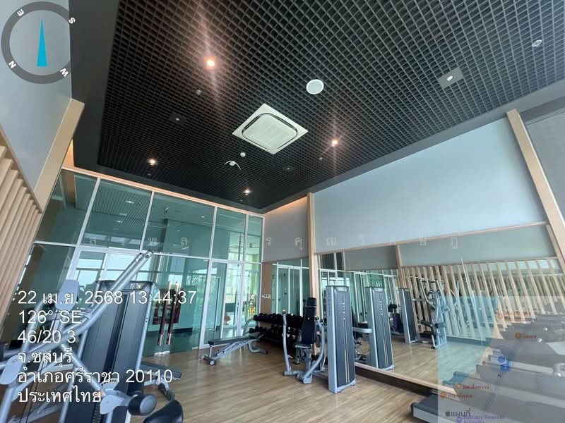 The Zea Sriracha, Chon Buri (Pattaya), 9 Moo 9, Bang Phra, Si Racha, Chon Buri (Pattaya), Studio, 35 sqm, Condo For Rent, by สรพล ธีรคุณวิศิษฎ์, 500483971 - DDproperty.com