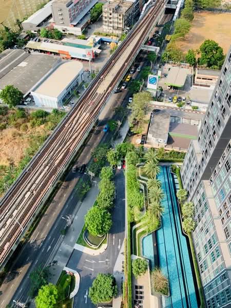IDEO MOBI Sukhumvit Eastgate, Bangkok, 4371 Sukhumvit Road, Bang Na, Bangkok, 1 Bedroom, 31 sqm, Condo For Rent, by Connex Property, 500484022 - DDproperty.com