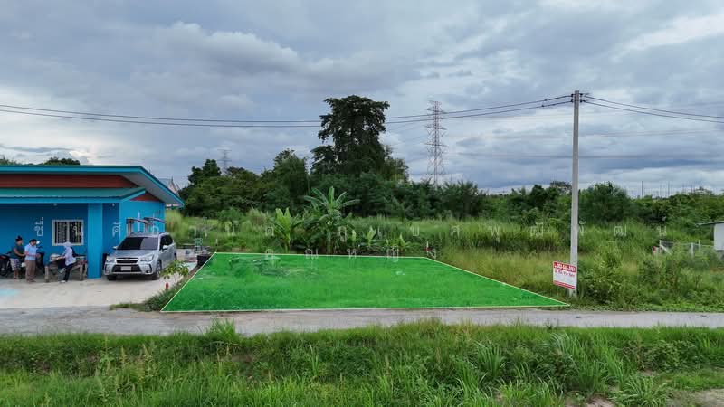 ขายที่ดิน 60 ตร.ว. นาเริก พนัสนิคม ใกล้สี่แยกเกาะโพธิ์ 331 (1.2 กม ), Chon Buri (Pattaya), Phanat Nikhom, Chon Buri (Pattaya), , 240 sqm, Land For Sale, by ทองมี รูปสูง, 500484219 - DDproperty.com
