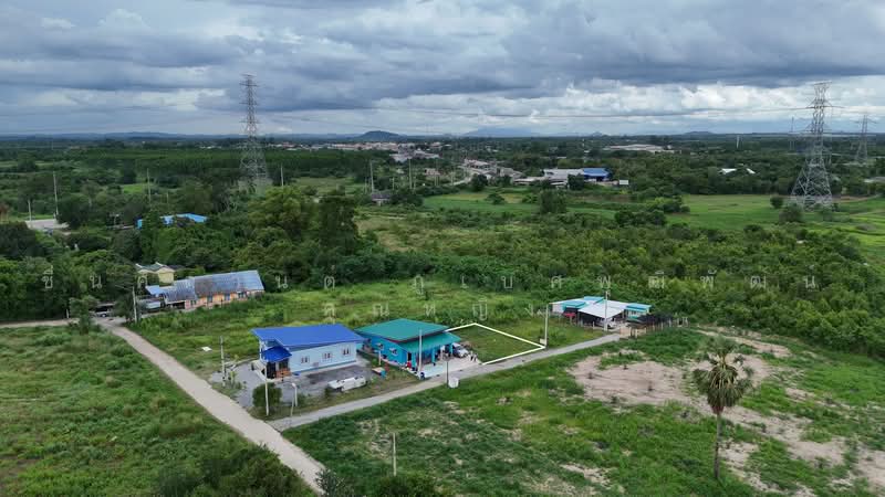 ขายที่ดิน 60 ตร.ว. นาเริก พนัสนิคม ใกล้สี่แยกเกาะโพธิ์ 331 (1.2 กม ), ชลบุรี, พนัสนิคม, ชลบุรี, 240 ตร.ม., ที่ดิน ขาย, โดย ชื่นศิกานต์ ภูเบศพุฒิพัฒน์ คุณหญิง, 500484219 - DDproperty.com