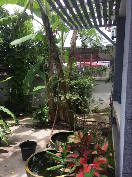 undefined, กรุงเทพ, ศาลาธรรมสพน์, ทวีวัฒนา, กรุงเทพ, 325 ตร.ม., บ้านเดี่ยว ขาย, โดย Chanon Ekongkarn, 500484279 - DDproperty.com