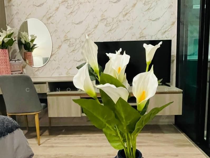 KnightsBridge Collage Ramkhamhaeng, Bangkok, Ramkhamhaeng Road, Hua Mak, Bang Kapi, Bangkok, 1 Bedroom, 24 sqm, Condo For Sale, by Chanon Ekongkarn, 500484308 - DDproperty.com