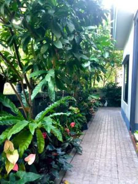 Casa Ville Ramintra Wongwaen 2, Bangkok, Along the Eastern Outer Ring Road Tha Rang, Tha Rang, Bang Khen, Bangkok, 4 Bedrooms, 200 sqm, Single Detached House For Sale, by Chanon Ekongkarn, 500484319 - DDproperty.com