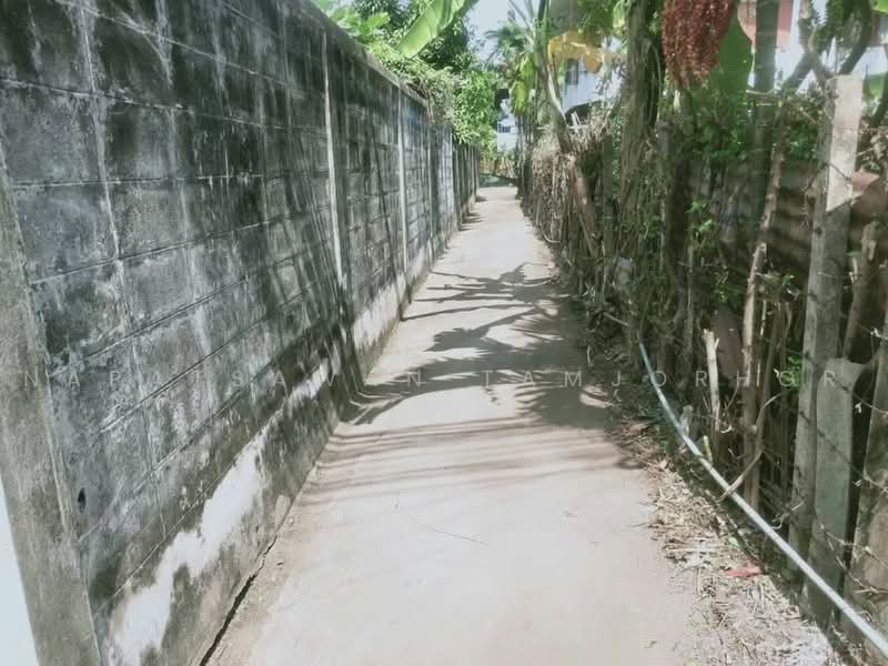 บ้าน 3-ห้องนอน, กรุงเทพ, หนองบอน, ประเวศ, กรุงเทพ, 120 ตร.ม., บ้านเดี่ยว ขาย, โดย Napatsawan Tamjorhor, 500484374 - DDproperty.com