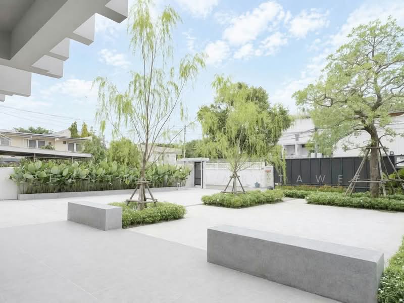 ขาย/ให้เช่า ออฟฟิศ สุขุมวิท 71 (Sukhumvit 71) 310 ตร.ม, Bangkok, Phra Kanong Nua, Watthana, Bangkok, , 310 sqm, Office Space For Rent, by Tida phanthonglarptawee, 500484419 - DDproperty.com