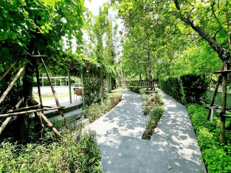 Whizdom Connect Sukhumvit : วิสซ์ดอม คอนเนค สุขุมวิท, กรุงเทพ, 1 ซอยปิยบุตร์ 1 ถนนสุขุมวิท, บางนา, กรุงเทพ, 43 ตร.ม., คอนโด ให้เช่า, โดย Napatsawan Tamjorhor, 500484445 - DDproperty.com