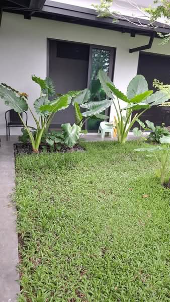 undefined, กรุงเทพ, รามอินทรา, คันนายาว, กรุงเทพ, 150 ตร.ม., บ้านเดี่ยว ขาย, โดย Napatsawan Tamjorhor, 500484448 - DDproperty.com
