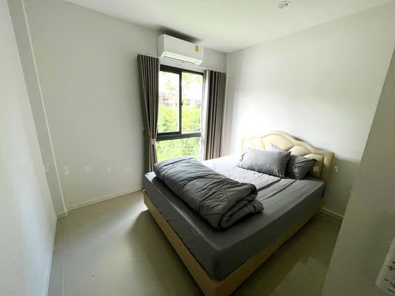 Baan Klang Muang The Edition Rama 9-Krungthep Kreetha, Bangkok, Kanchanaphisek Road 23, Saphan Sung, Bangkok, 4 Bedrooms, 220 sqm, Single Detached House For Rent, by นัฐพงค์ มณีอัครเนตร, 500484531 - DDproperty.com