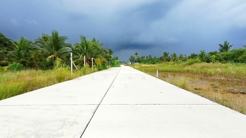ที่ดินลาดใหญ่ สมุทรสงคราม, Samut Songkhram, Lat Yai, Muang Samut Songkhram, Samut Songkhram, , 6,383 sqm, Land For Sale, by The Best Property อิ๋ว, 500484878 - DDproperty.com