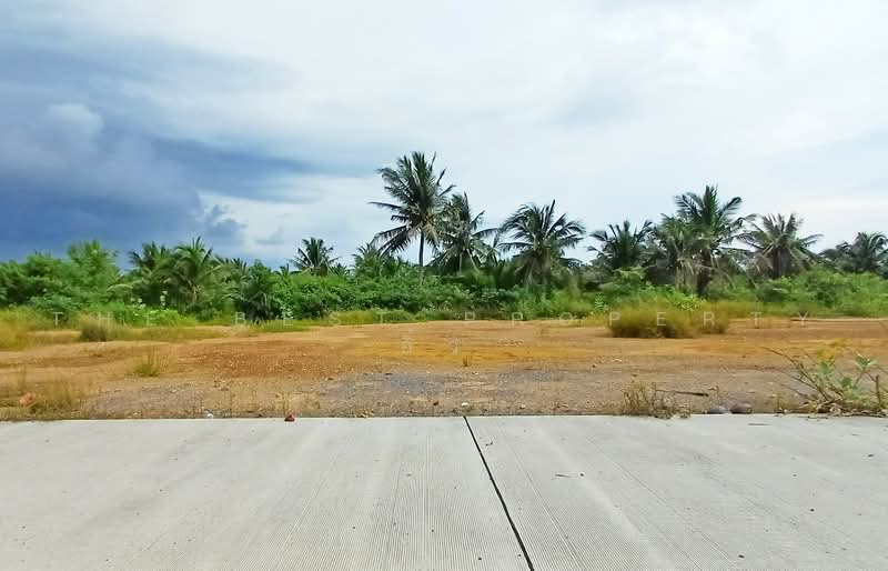 ที่ดินลาดใหญ่ สมุทรสงคราม, Samut Songkhram, Lat Yai, Muang Samut Songkhram, Samut Songkhram, , 6,383 sqm, Land For Sale, by The Best Property อิ๋ว, 500484878 - DDproperty.com