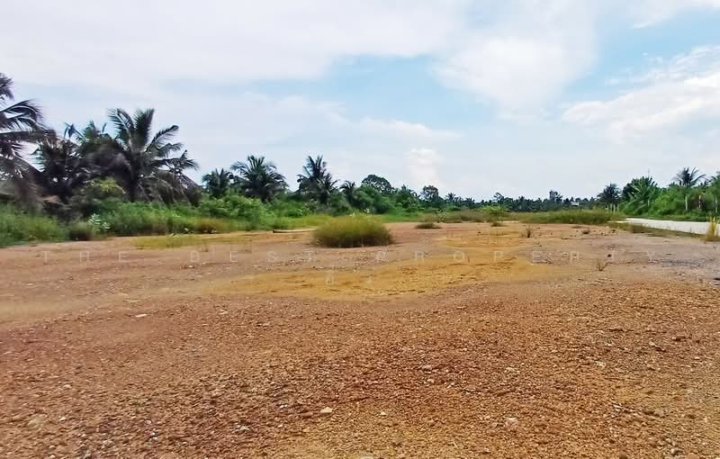 ที่ดินลาดใหญ่ สมุทรสงคราม, Samut Songkhram, Lat Yai, Muang Samut Songkhram, Samut Songkhram, , 6,383 sqm, Land For Sale, by The Best Property อิ๋ว, 500484878 - DDproperty.com