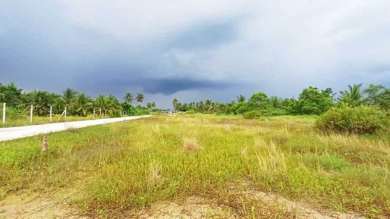 ที่ดินลาดใหญ่ สมุทรสงคราม, Samut Songkhram, Lat Yai, Muang Samut Songkhram, Samut Songkhram, , 6,383 sqm, Land For Sale, by The Best Property อิ๋ว, 500484878 - DDproperty.com