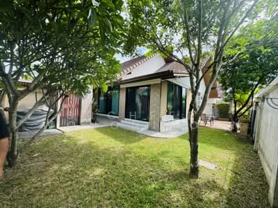 ขาย - The Maple Pattaya : เดอะ เมเปิ้ล พัทยา, ชลบุรี