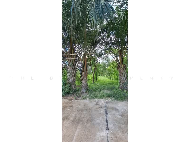 ที่ดินบ้านพระ ปราจีนบุรี, Prachin Buri, Ban Phra, Muang Prachin Buri, Prachin Buri, , 2,800 sqm, Land For Sale, by The Best Property ณท, 500484896 - DDproperty.com