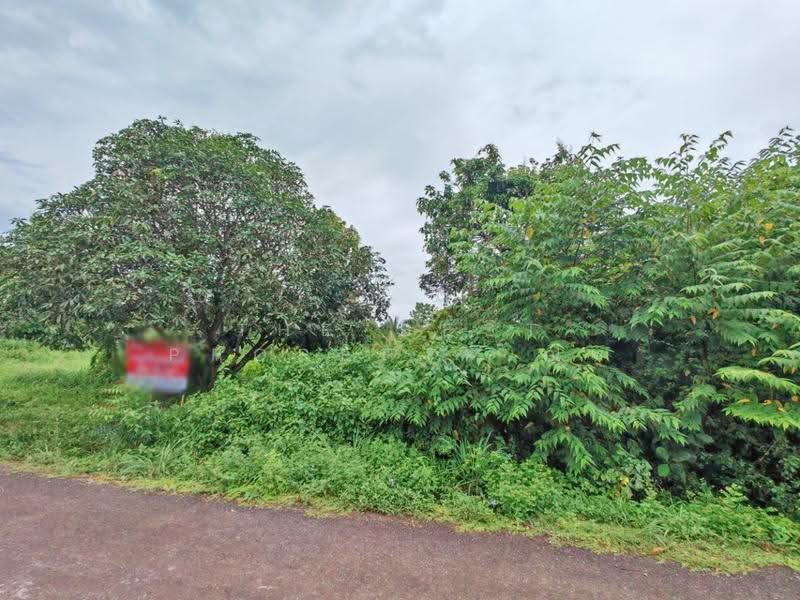 ที่ดินบ้านพระ ปราจีนบุรี, Prachin Buri, Ban Phra, Muang Prachin Buri, Prachin Buri, , 2,800 sqm, Land For Sale, by The Best Property ณท, 500484896 - DDproperty.com