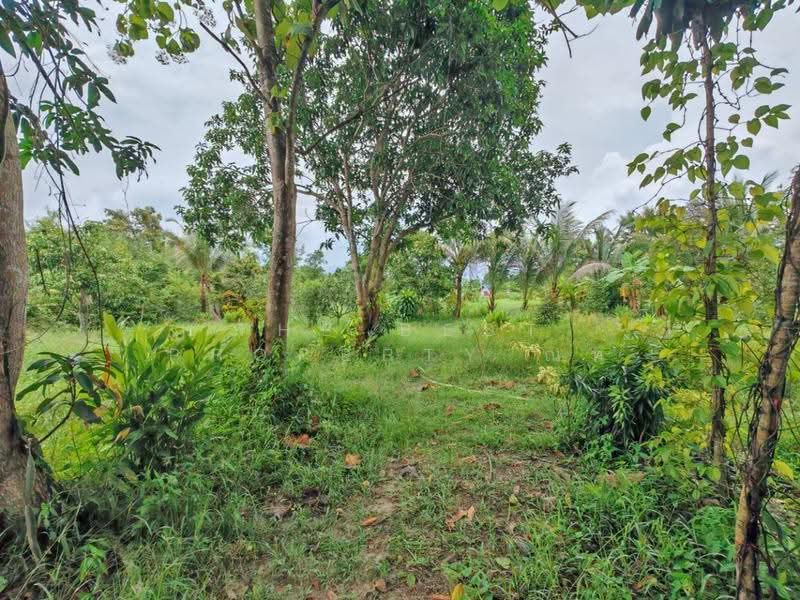 ที่ดินบ้านพระ ปราจีนบุรี, Prachin Buri, Ban Phra, Muang Prachin Buri, Prachin Buri, , 2,800 sqm, Land For Sale, by The Best Property ณท, 500484896 - DDproperty.com