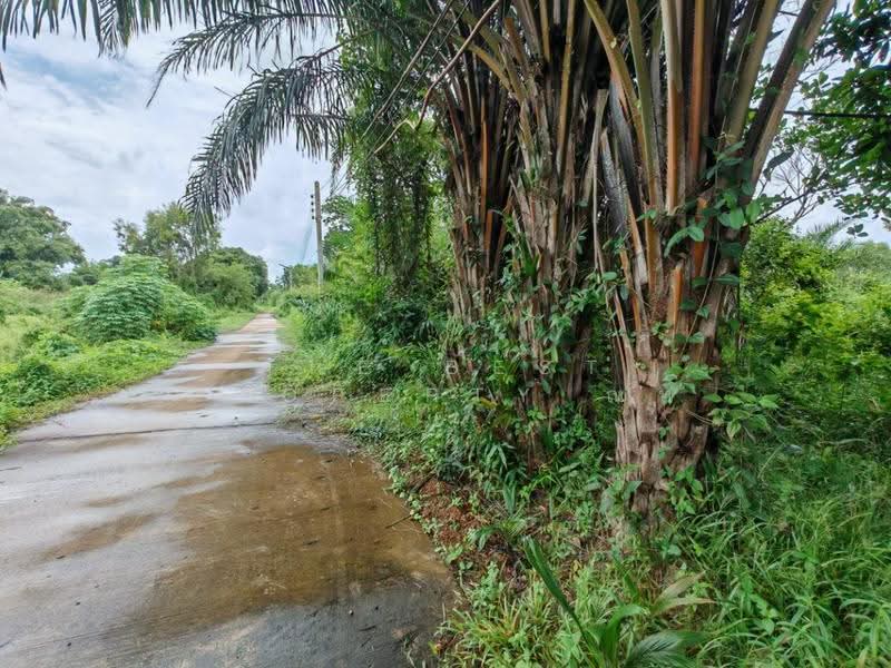 ที่ดินบ้านพระ ปราจีนบุรี, Prachin Buri, Ban Phra, Muang Prachin Buri, Prachin Buri, , 2,800 sqm, Land For Sale, by The Best Property ณท, 500484896 - DDproperty.com