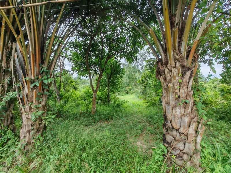 ที่ดินบ้านพระ ปราจีนบุรี, Prachin Buri, Ban Phra, Muang Prachin Buri, Prachin Buri, , 2,800 sqm, Land For Sale, by The Best Property ณท, 500484896 - DDproperty.com