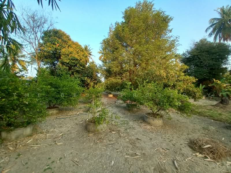ที่ดินโพธาราม ราชบุรี, Ratchaburi, Khlong Takhot, Photharam, Ratchaburi, , 2,000 sqm, Land For Sale, by The Best Property เปี๊ยก, 500484955 - DDproperty.com