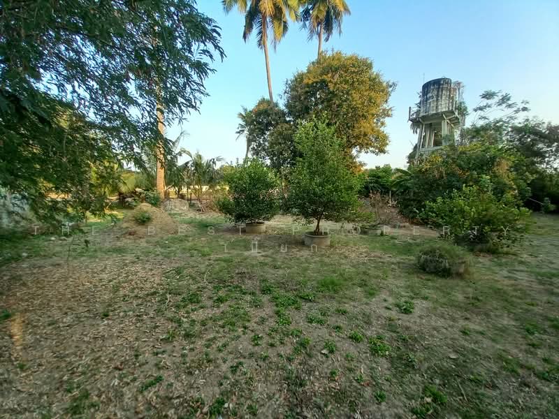 ที่ดินโพธาราม ราชบุรี, Ratchaburi, Khlong Takhot, Photharam, Ratchaburi, , 2,000 sqm, Land For Sale, by The Best Property เปี๊ยก, 500484955 - DDproperty.com