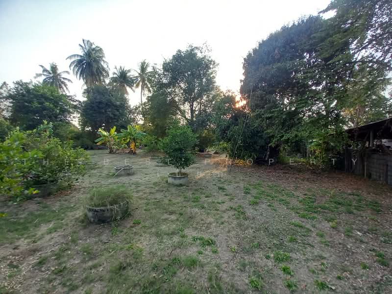 ที่ดินโพธาราม ราชบุรี, Ratchaburi, Khlong Takhot, Photharam, Ratchaburi, , 2,000 sqm, Land For Sale, by The Best Property เปี๊ยก, 500484955 - DDproperty.com