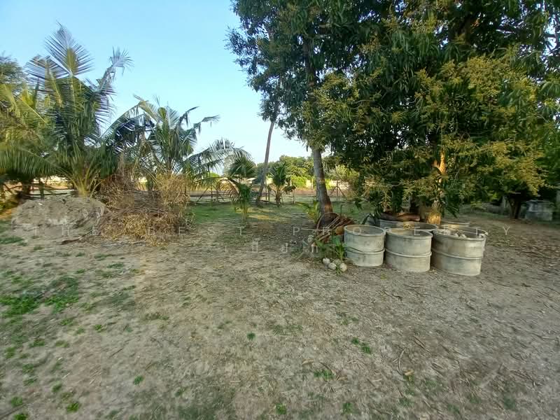 ที่ดินโพธาราม ราชบุรี, Ratchaburi, Khlong Takhot, Photharam, Ratchaburi, , 2,000 sqm, Land For Sale, by The Best Property เปี๊ยก, 500484955 - DDproperty.com