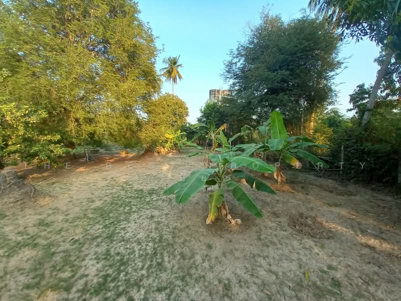 ที่ดินโพธาราม ราชบุรี, Ratchaburi, Khlong Takhot, Photharam, Ratchaburi, , 2,000 sqm, Land For Sale, by The Best Property เปี๊ยก, 500484955 - DDproperty.com