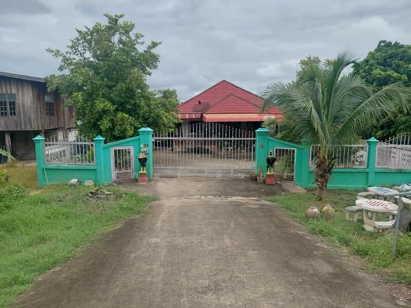 ขายบ้านเดี่ยว โซนสันป่าตอง, Chiang Mai, Mae Ka, San Pa Tong, Chiang Mai, 2 Bedrooms, 85 sqm, Single Detached House For Sale, by Armon Yuenyong, 500485087 - DDproperty.com