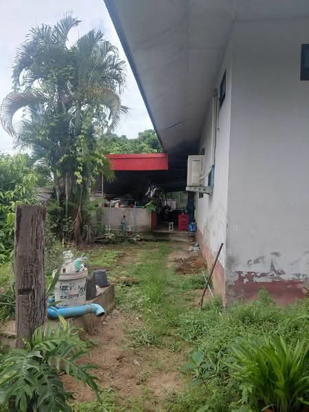 ขายบ้านเดี่ยว โซนสันป่าตอง, Chiang Mai, Mae Ka, San Pa Tong, Chiang Mai, 2 Bedrooms, 85 sqm, Single Detached House For Sale, by Armon Yuenyong, 500485087 - DDproperty.com