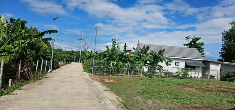 ขายบ้านเดี่ยว โซนสันป่าตอง, Chiang Mai, Tha Wang Phraw, San Pa Tong, Chiang Mai, 1 Bedroom, 85 sqm, Single Detached House For Sale, by Armon Yuenyong, 500485369 - DDproperty.com