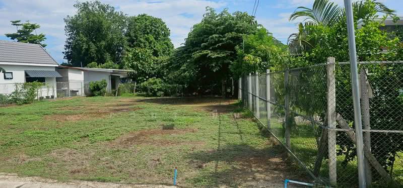 ขายบ้านเดี่ยว โซนสันป่าตอง, Chiang Mai, Tha Wang Phraw, San Pa Tong, Chiang Mai, 1 Bedroom, 85 sqm, Single Detached House For Sale, by Armon Yuenyong, 500485369 - DDproperty.com