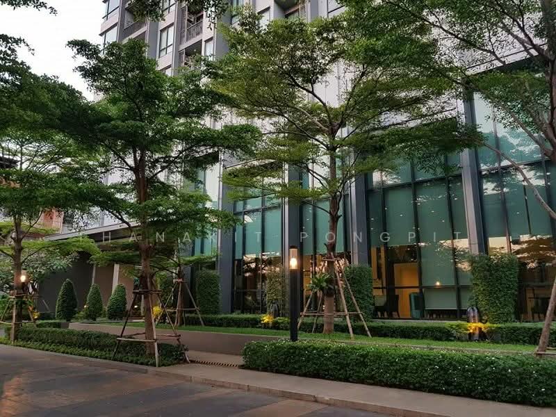 Q House Sukhumvit 79, Bangkok, 2059 Sukhumvit Road, Phra Kanong Nua, Watthana, Bangkok, 1 Bedroom, 31 sqm, Condo For Rent, by Thanakit Pongpit, 500485370 - DDproperty.com
