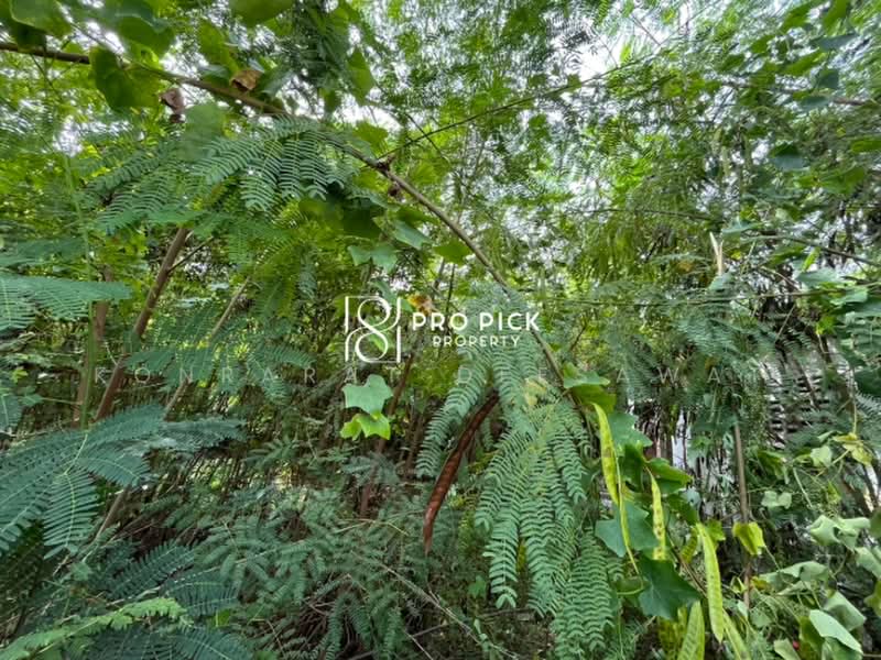 For Sale Land 109 Sqw Sukhumvit 101/1 BTS Punnawithi Sukhumvit Phra Kanong Bangkok, Bangkok, สุขุมวิท, Bang Chak, Phra Khanong, Bangkok, , 436 sqm, Business For Sale, by Konrarat Deesawat, 500485453 - DDproperty.com
