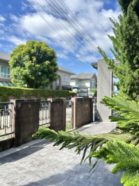 Laddarom Elegance Salaklang Chiangmai, Chiang Mai, Somphot Chiang Mai 700 Years Road, San Phi Sua, Muang Chiang Mai, Chiang Mai, 4 Bedrooms, 200 sqm, Single Detached House For Rent, by The Positive ที่ดิน บ้าน คอนโด, 500485494 - DDproperty.com