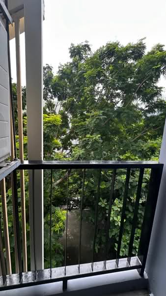 Zenith Place Sukhumvit 42, Bangkok, Sukhumvit Road, Phra Kanong, Khlong Toei, Bangkok, 1 Bedroom, 30 sqm, Condo For Sale, by Suchada Yodyiem, 500485518 - DDproperty.com