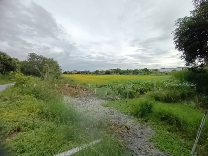 ที่ดินพุทธมณฑล นครปฐม, นครปฐม, มหาสวัสดิ์, พุทธมณฑล, นครปฐม, 21,696 ตร.ม., ที่ดิน ขาย, โดย The Best Property เปี๊ยก, 500485545 - DDproperty.com