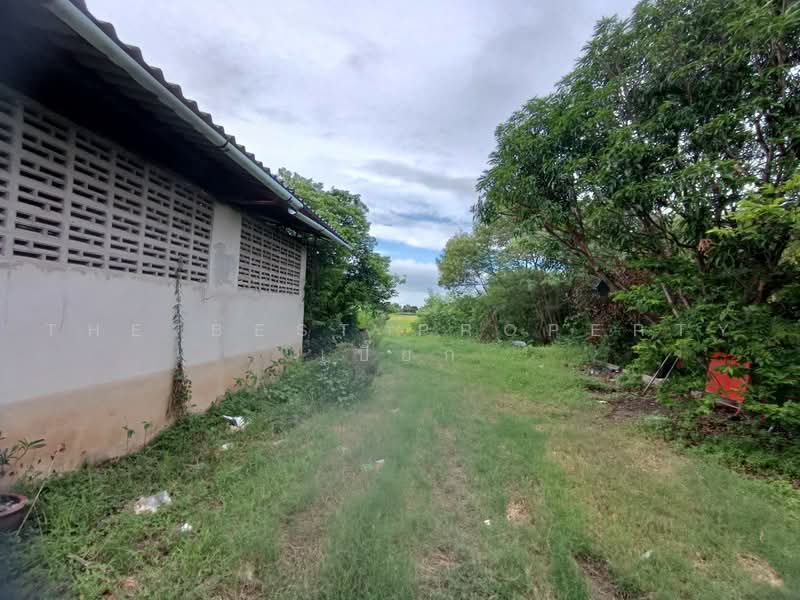 ที่ดินพุทธมณฑล นครปฐม, นครปฐม, มหาสวัสดิ์, พุทธมณฑล, นครปฐม, 21,696 ตร.ม., ที่ดิน ขาย, โดย The Best Property เปี๊ยก, 500485545 - DDproperty.com