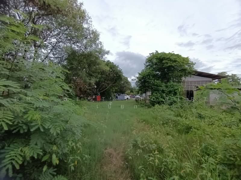 ที่ดินพุทธมณฑล นครปฐม, นครปฐม, มหาสวัสดิ์, พุทธมณฑล, นครปฐม, 21,696 ตร.ม., ที่ดิน ขาย, โดย The Best Property เปี๊ยก, 500485545 - DDproperty.com