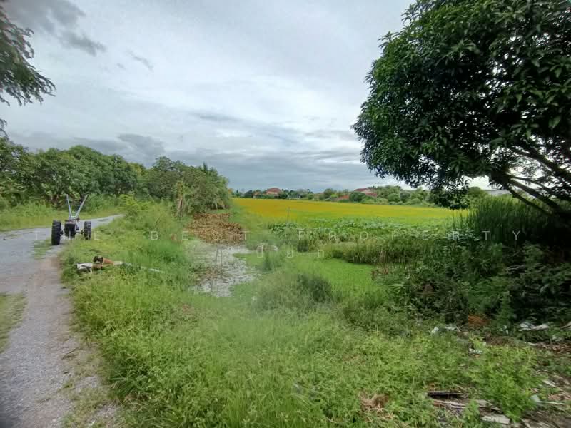 ที่ดินพุทธมณฑล นครปฐม, นครปฐม, มหาสวัสดิ์, พุทธมณฑล, นครปฐม, 21,696 ตร.ม., ที่ดิน ขาย, โดย The Best Property เปี๊ยก, 500485545 - DDproperty.com