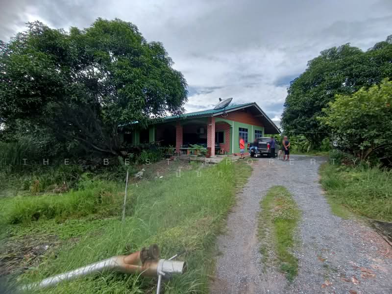 ที่ดินพุทธมณฑล นครปฐม, Nakhon Pathom, Mahasawat, Phuttha Mon Thon, Nakhon Pathom, , 21,696 sqm, Land For Sale, by The Best Property  เปี๊ยก, 500485545 - DDproperty.com