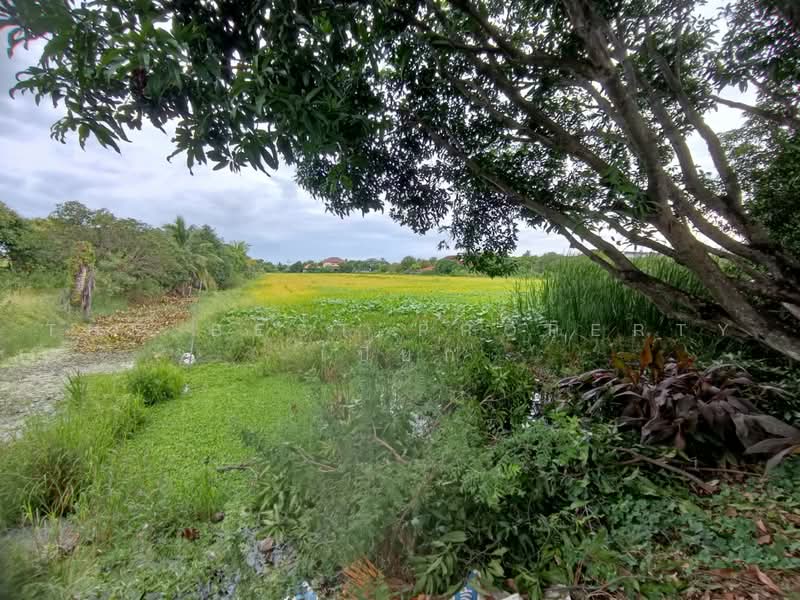 ที่ดินพุทธมณฑล นครปฐม, นครปฐม, มหาสวัสดิ์, พุทธมณฑล, นครปฐม, 21,696 ตร.ม., ที่ดิน ขาย, โดย The Best Property เปี๊ยก, 500485545 - DDproperty.com