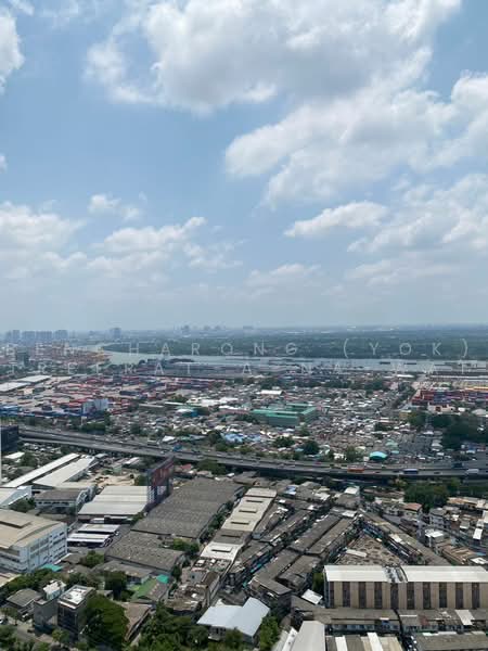 Oka Haus Sukhumvit 36, Bangkok, 3399 Rama 4 Road, Khong Tan, Khlong Toei, Bangkok, 1 Bedroom, 35 sqm, Condo For Rent, by Bencharong (Yok) Treerat-a-na-wat, 500485595 - DDproperty.com
